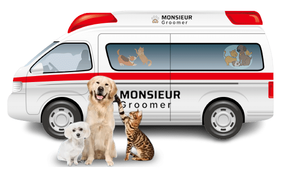 Mobile Pet Grooming Orange County, CA, United States of America