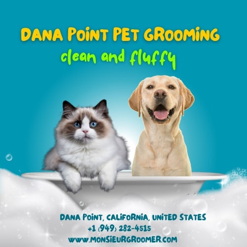 Dana and best sale friends pet grooming