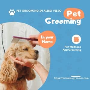 Mobile Pet Grooming Aliso Viejo