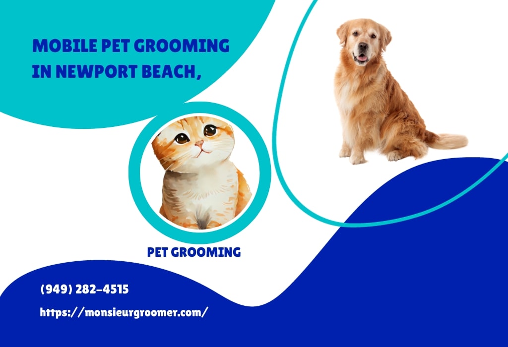 Mobile Pet grooming in Newport Beach
