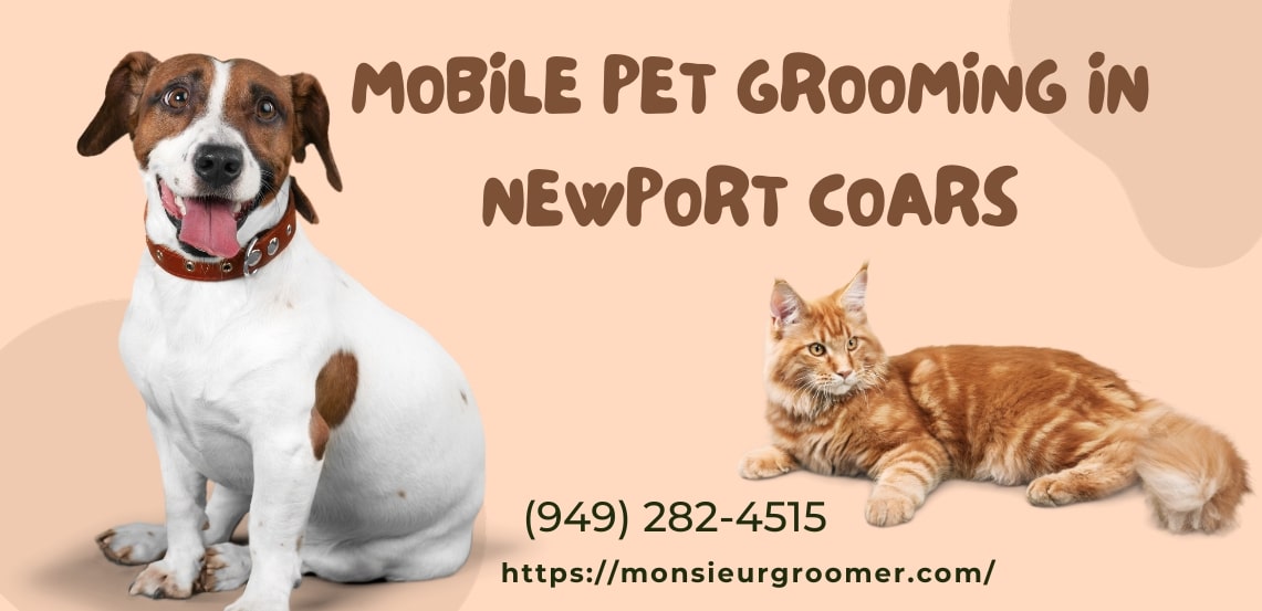 Best Mobile Pet grooming in Newport Coast