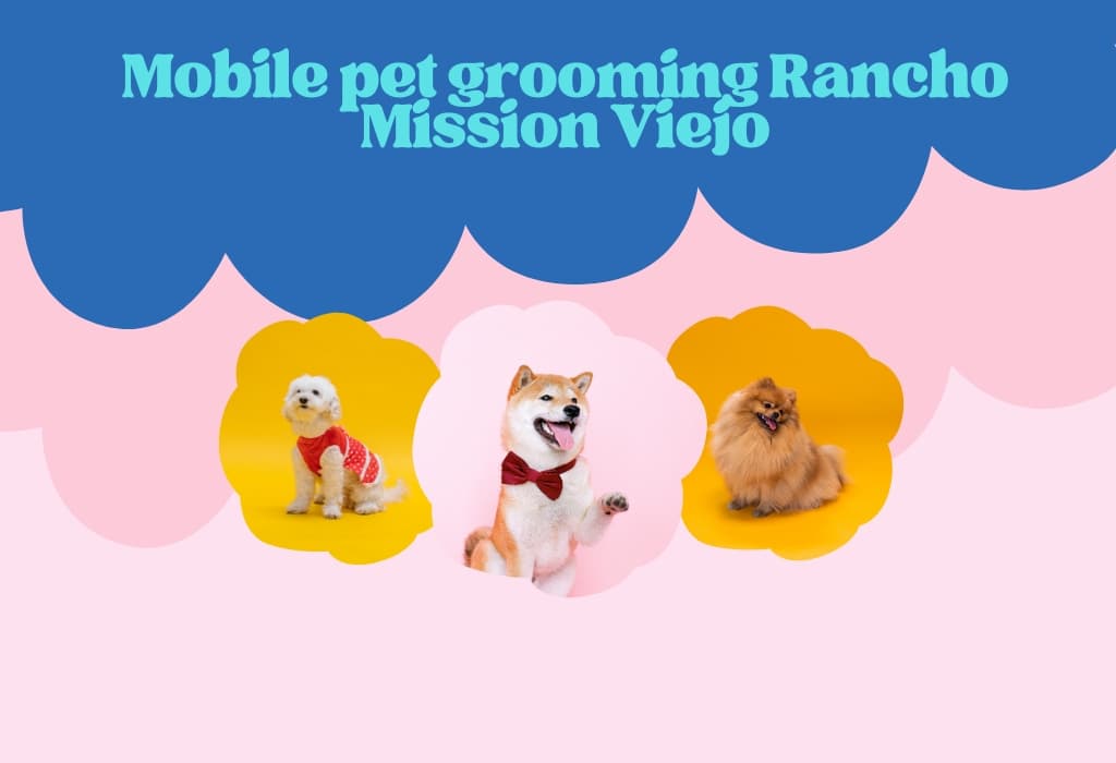 Best Mobile pet grooming Rancho Mission Viejo