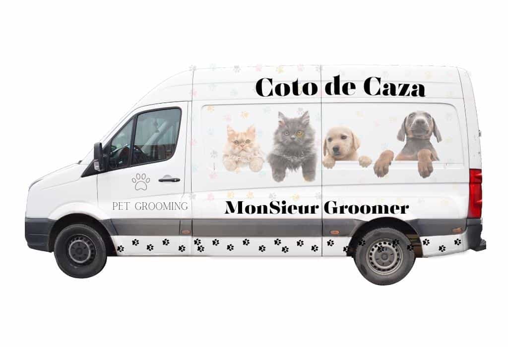 Award Winning Pet grooming in Coto de Caza