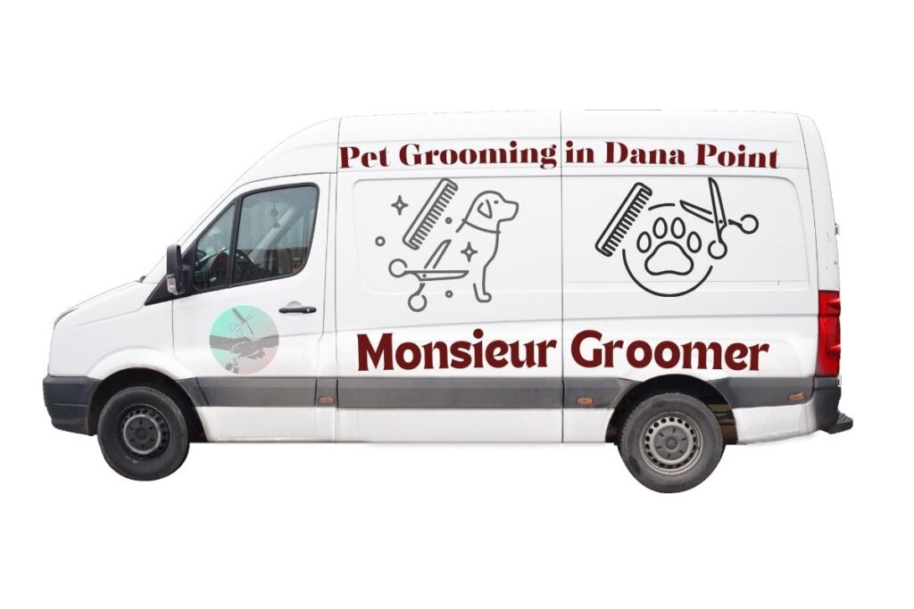 Best Pet Grooming in Dana Point