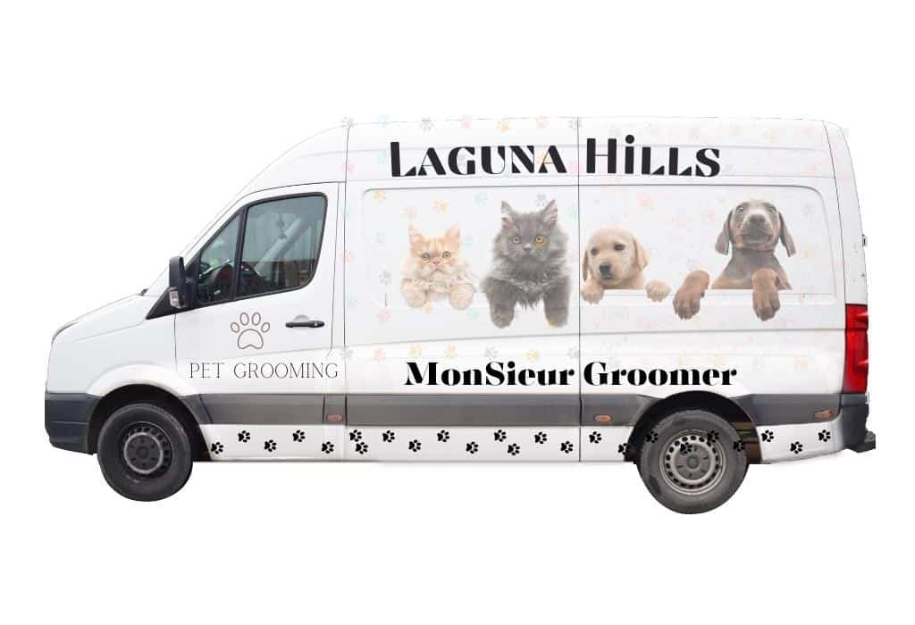 Pet Grooming Laguna Hills