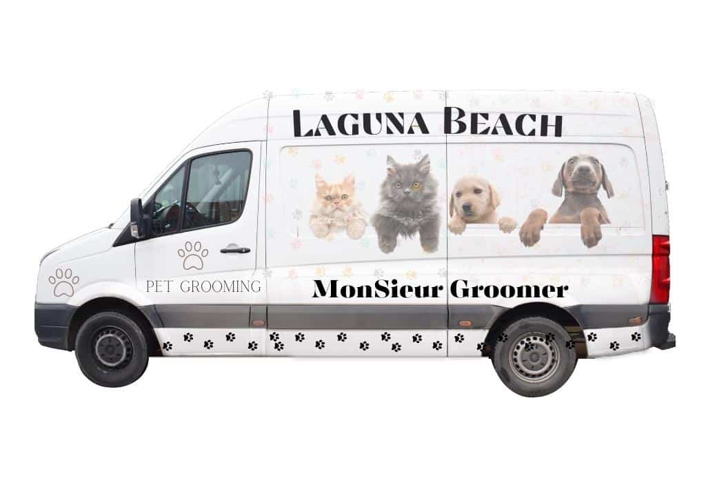 Pet grooming Laguna Beach