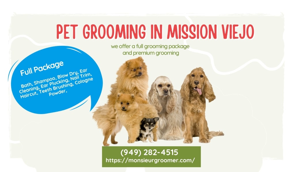 Pet Grooming In Mission Viejo 