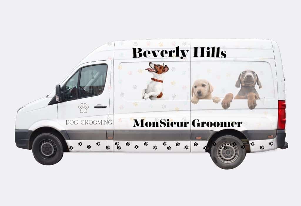 Beverly Hills Mobile Dog Grooming