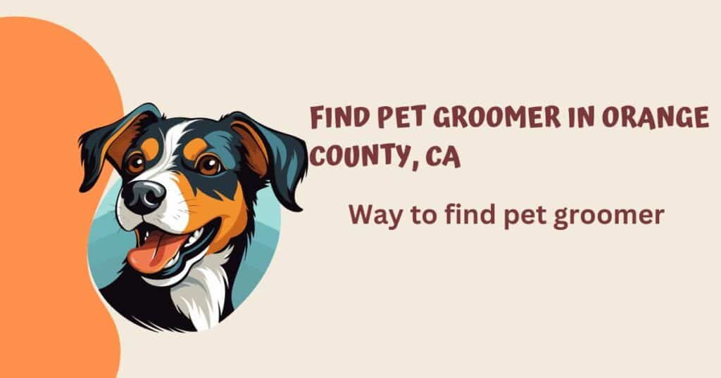 How-to-find-a-pet-groomer-in-orange-county