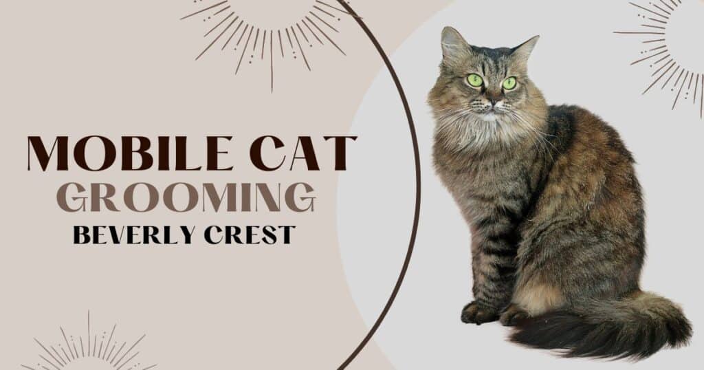 Mobile Cat Grooming Beverly Crest
