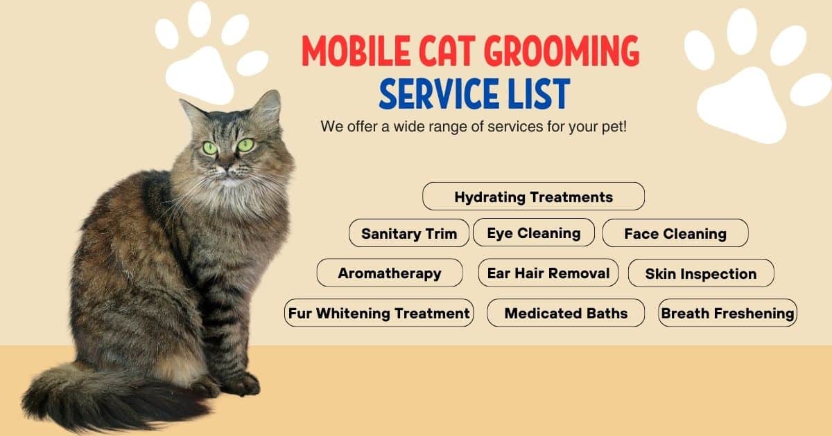 Service List of Mobile Cat grooming 2