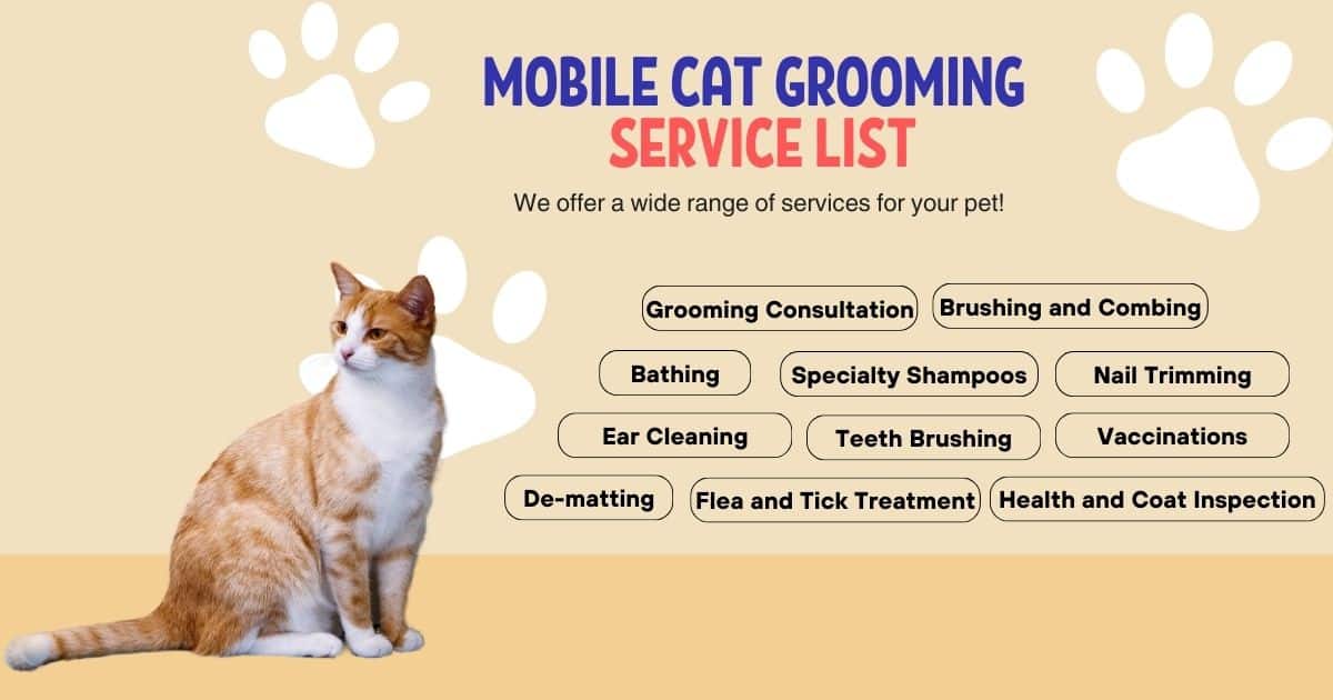 Service List of Mobile Cat grooming