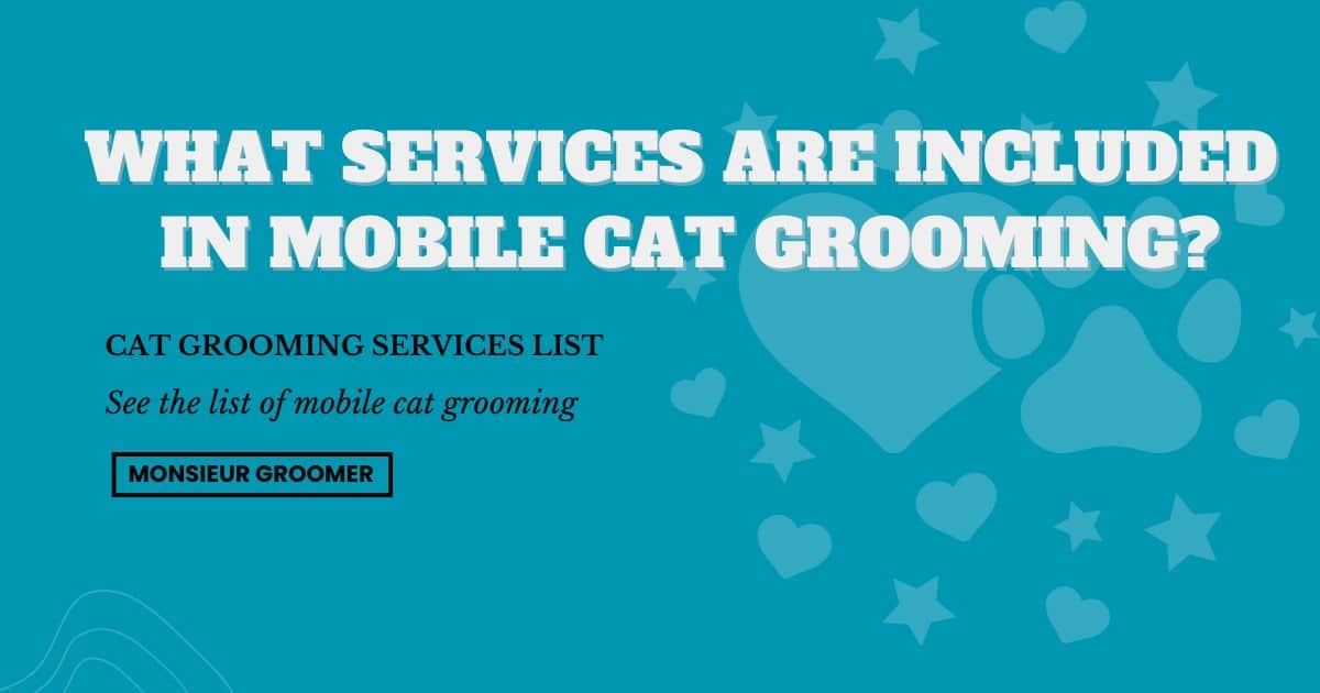 What services are included in mobile cat grooming