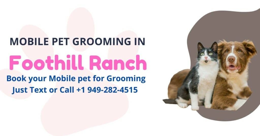 pet grooming foothill ranch