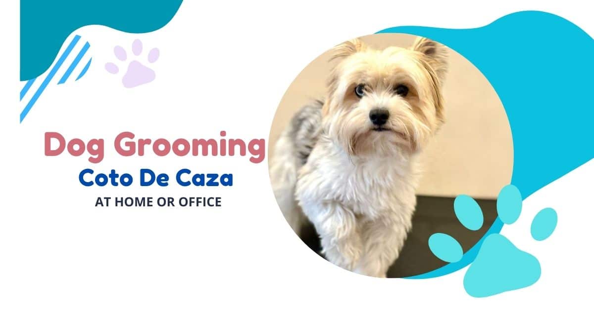 Image about mobile dog grooming in Coto De Caza, CA