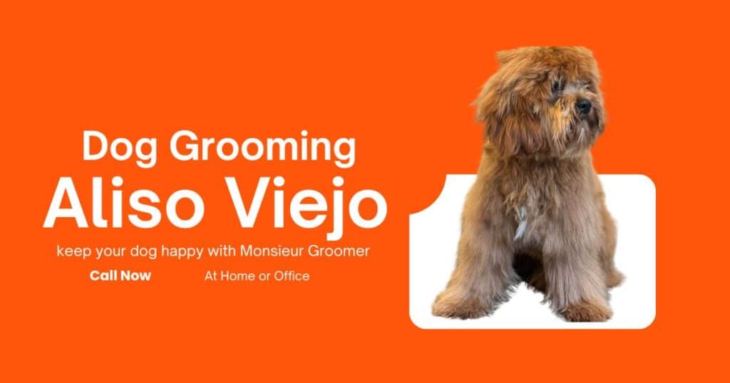 mobile dog grooming aliso viejo services at home or office