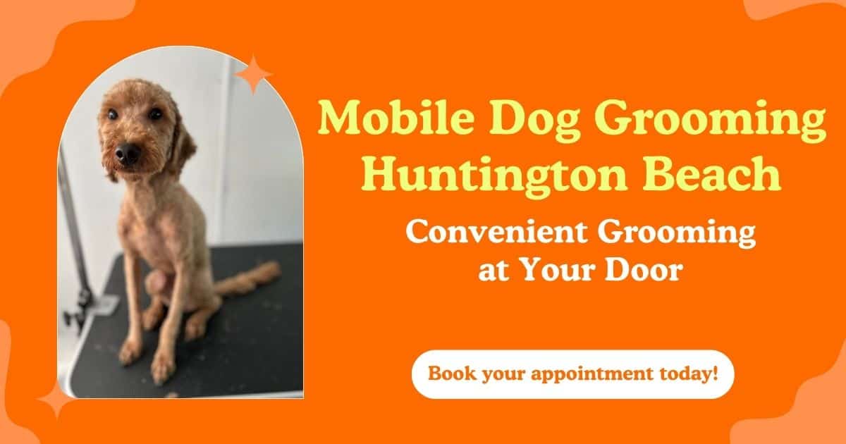 Mobile dog grooming Huntington Beach services